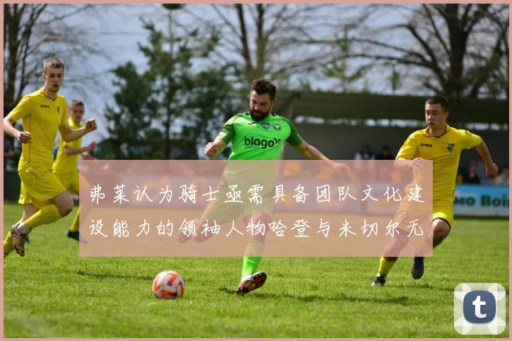 弗莱认为骑士亟需具备团队文化建设能力的领袖人物哈登与米切尔无法胜任